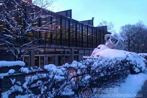 伊利诺伊理工学院留学生访谈图片2