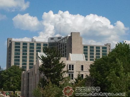 印第安纳大学伯明顿分校留学生访谈